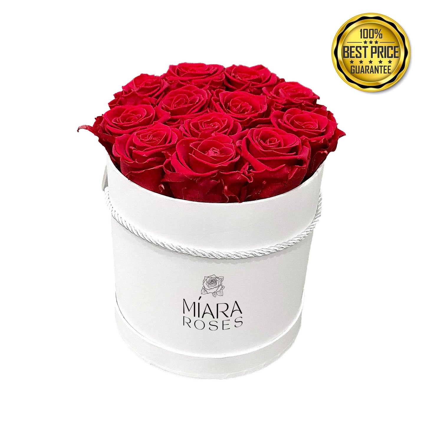 White Round Box with 12 Natural Preserved Roses